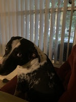 Erin S