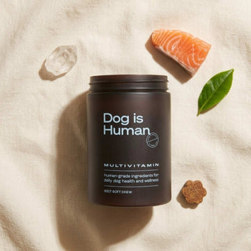 Dog is Human multivitamin soft chew pot