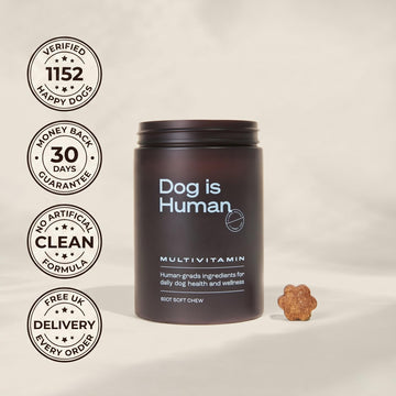 Daily Multivitamins for Dogs – 12 Active Ingredients for Skin, Joints, Digestion and Immunity